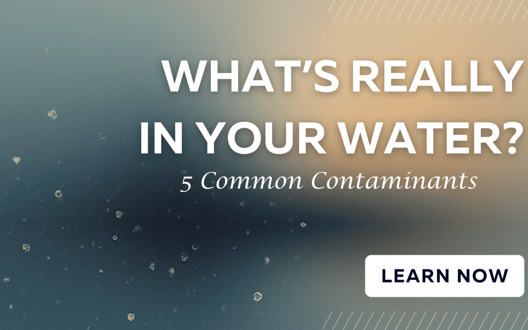 What’s REALLY in Your Water? 5 Common Contaminants